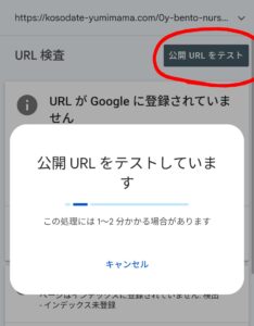 URL検査画面
